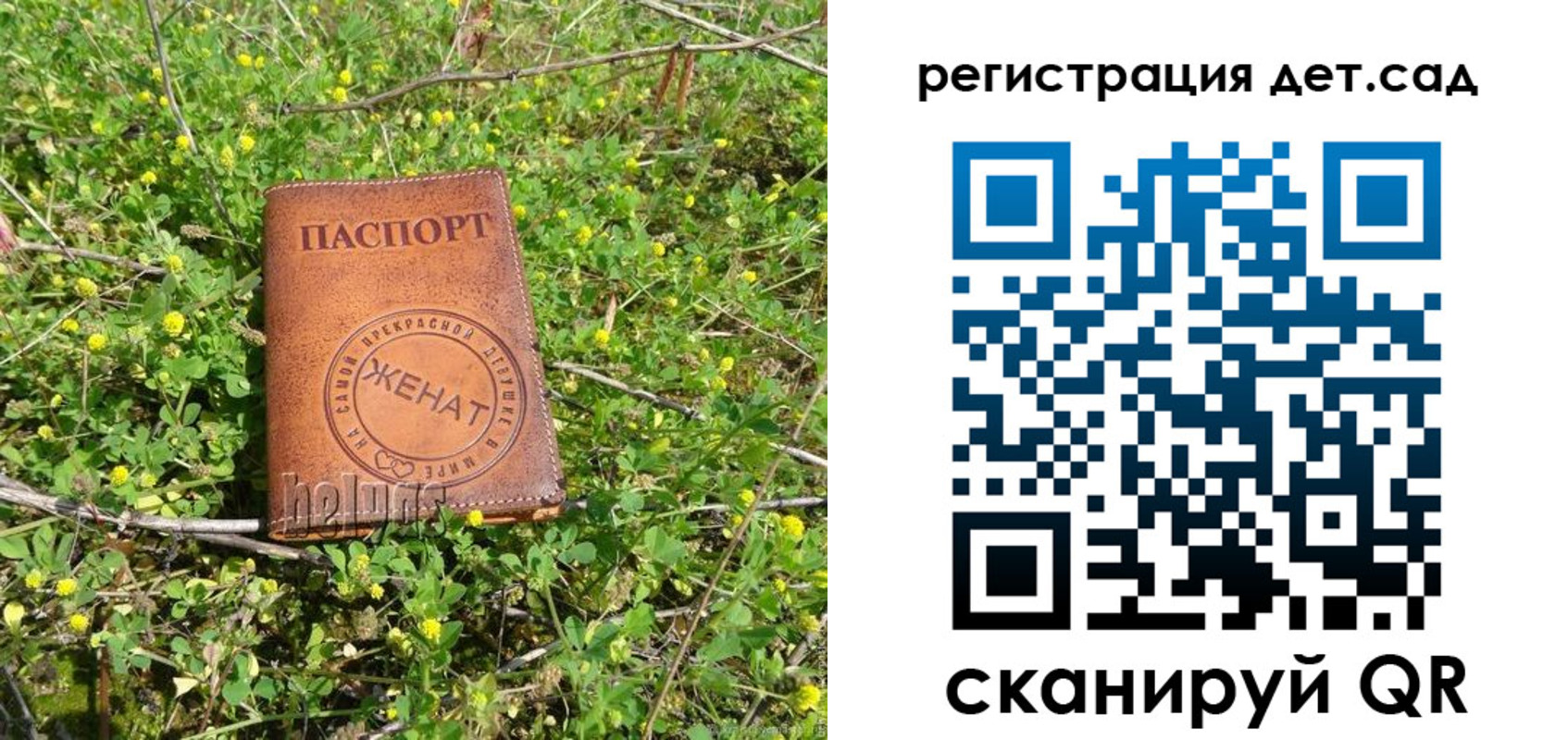 временная регистрация надежно в Волосово